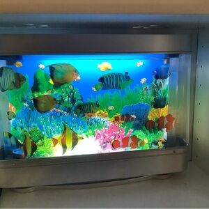 Colorful Fish Aquarium Decor